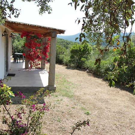 La Puntaccina Villa Aglientu Exteriör bild