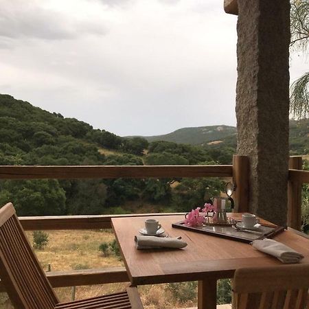 La Puntaccina Villa Aglientu Exteriör bild