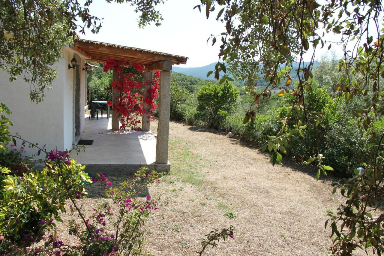 La Puntaccina Villa Aglientu Exteriör bild