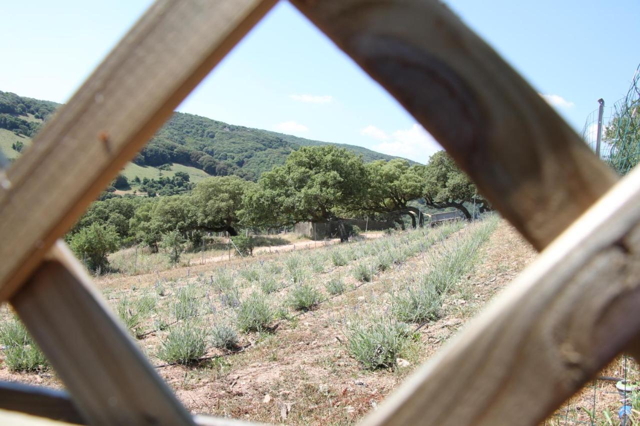 La Puntaccina Villa Aglientu Exteriör bild