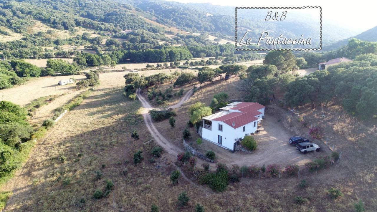 La Puntaccina Villa Aglientu Exteriör bild